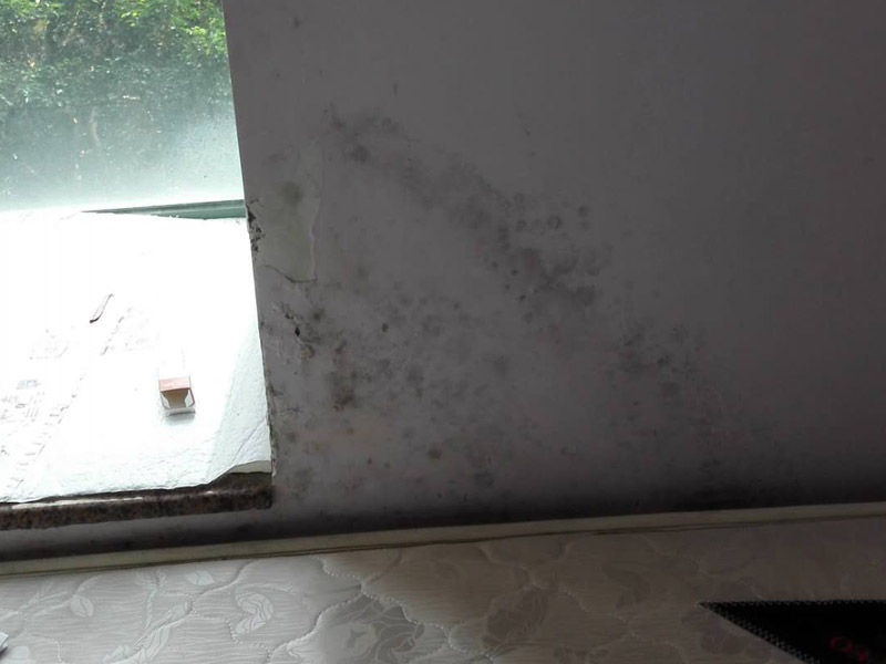 墻面起霉維修：墻壁起霉的處理：打磨、修補、刷防水涂料。
1、用砂紙打磨干凈，如果有脫層，用鏟刀處理平整；
2、如果墻面不平整，需要用膩子修補平整；如果墻面比較平整，建議先涂刷封閉底漆，然后再刷乳膠漆。
3、為了防止后期墻面再次發(fā)霉，建議再刷一層防水涂料、乳膠漆等。