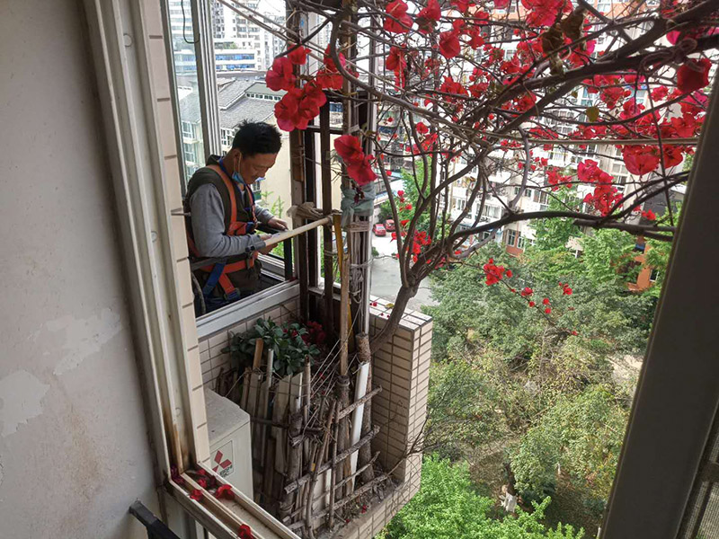 陽臺植物拆除:將陽臺和客廳打通。很多人想擴大自家客廳面積，改善采光情況，因此就選擇打通陽臺和客廳，這并不是完全不行的，但是要考慮戶型的實際情況。有的戶型陽臺的墻是用來抗震的，如果拆掉，短期看不出問題，但是長期使用必然會影響房子的承載能力，遇到嚴重災禍的時候，就完全無法抵抗了。