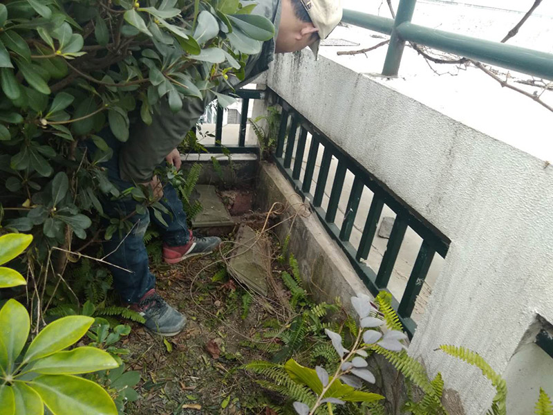 屋頂露臺(tái)看現(xiàn)場(chǎng)：如果防水師傅沒有檢驗(yàn)基層，直接就刷防水涂料的話，那么基層比較差，后期肯定會(huì)發(fā)生滲漏問題的。當(dāng)然，有的朋友會(huì)說，即便發(fā)生這種情況，后果也是該師傅來承擔(dān)的。但事實(shí)上，真的沒有人會(huì)希望發(fā)生問題，畢竟在出現(xiàn)問題之后，會(huì)給自己生活帶來很大的麻煩。