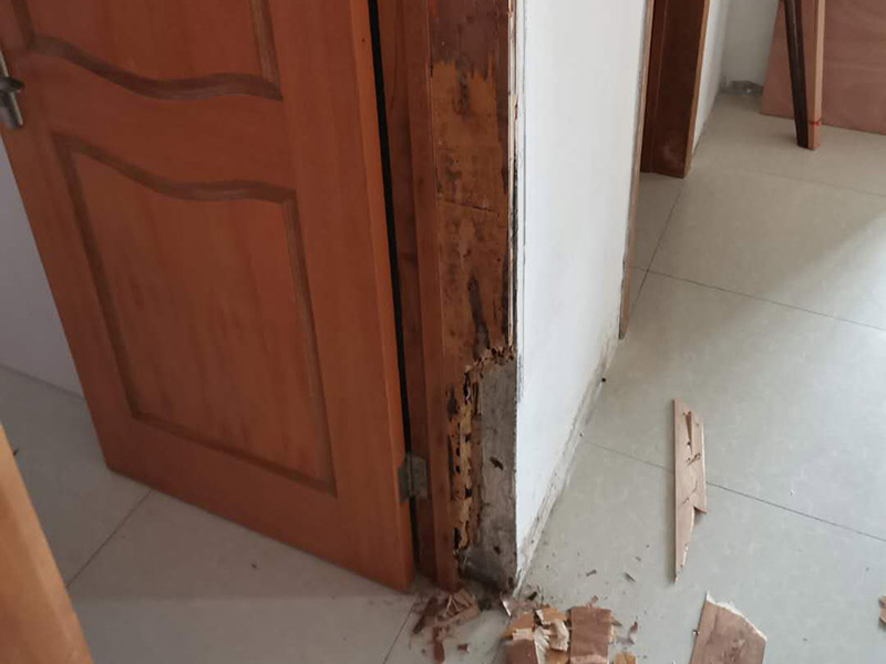 臥室門框維修：1.漆面表面劃傷用bai一只顏色與家具相同的普du通的繪圖用蠟筆，在劃痕zhi上劃一劃，使其與周邊漆面dao高度相同，再薄薄地涂上一層透明的清漆就可以了；2.油漆剝落修復(fù)，清漆家具表面小塊油漆剝落后可取同色廣告顏料涂補，再用清漆涂在表面，即完好如初3.裂縫填補用油灰和顏料拌勻后嵌入堵平，但要注意顏料要和原油灰的顏料、原油漆色彩一致，以防留下疤跡