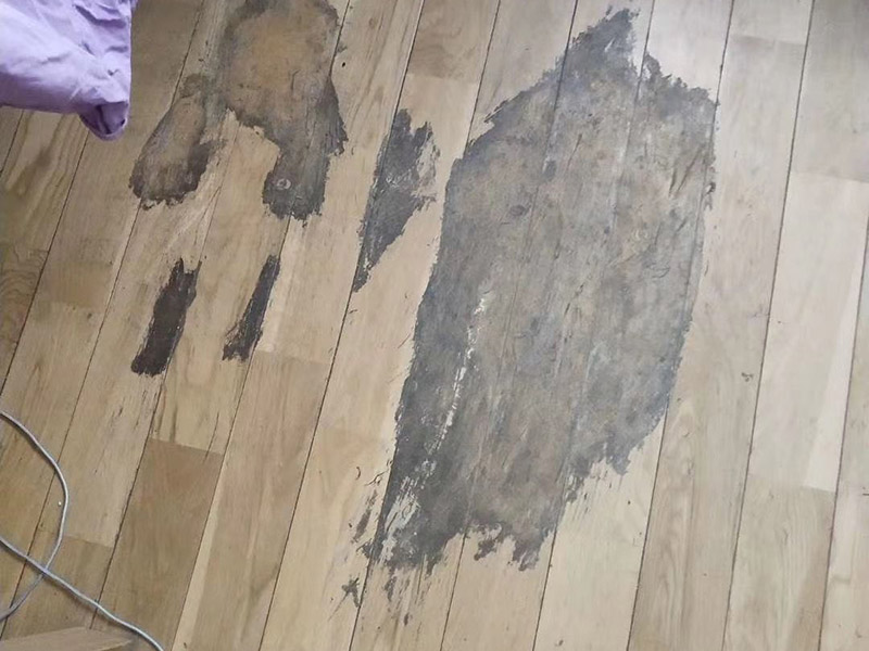 地板局部修復(fù):如果局部破損嚴(yán)重則需要先將需更換的地板破壞掉，然后徹底取出。 （1）先用工具將要更換的地板短邊處鑿出一個(gè)縫隙，再用鋸將需更換的地板表面鋸開；然后將分成小片的地板取出，但一定要保證不破壞周圍的地板； （2）然后將拆下的地板周圍的膠水清理干凈，并保證清理好的榫槽便于安裝，如果清理不徹底，接縫會(huì)不平或不嚴(yán)。可以用有新榫頭小片地板在接口上來回滑動(dòng)，找出殘留膠跡并清除，以保證修復(fù)后的地板美觀，同樣需要注意的是不要損壞周圍的榫槽； （3）接下來處理新地板，鋸掉新地板槽口一邊的下半部分并清理干凈整個(gè)榫槽，注意預(yù)留一些空間，因外涂抹膠水后會(huì)占用一定的空間； （4）最后將新地板安裝到需要替換的位置，將原四周地板榫頭涂滿膠水，并在新地板榫槽處也施上膠水，然后放在起下廢板塊的空隙處，先將長邊榫舌與短邊榫舌的一角嵌入原四周地板的槽口邊，再用手按下槽口一邊，并墊木塊以專用工具輕輕砸入，注意安裝前先比一下長度是否一致，如果新板長了，可以修短一點(diǎn)，短了就只有拆裝整條地板了。