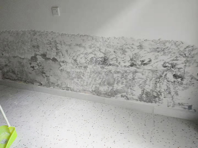 墻面局部鏟除防水：1、清理墻面：以鏟刀清除墻面已松動(dòng)的膩?zhàn)訉?。用鏟刀無(wú)法清除的膩?zhàn)訉?，可以用小錘子輕輕敲擊，如果沒(méi)有空鼓的聲音，并且敲后仍不松動(dòng)的地方可以保留原有的基層。 2、清洗墻面：用清潔水或洗滌靈將表面的浮塵、油污進(jìn)行徹底清洗干凈，然后用高壓水槍進(jìn)行徹底沖洗，清除已粉化的涂層。 3、修補(bǔ)墻面： （1）基層起皮的處理方法：鋼絲刷刷掉起皮的涂料面層，刷界面劑，重新進(jìn)行涂料施工。 （2）基層裂縫的處理方法：開(kāi)V型槽，掛抗堿玻纖網(wǎng)格布，水泥砂漿抹面，批刮柔性膩?zhàn)?，進(jìn)行涂料施工。 （3）基層空鼓的處理方法：云石機(jī)切出空鼓的墻面，薄而多遍的水泥砂漿抹面，達(dá)到原有墻面的高度，刷界面劑，然后進(jìn)行涂料施工。