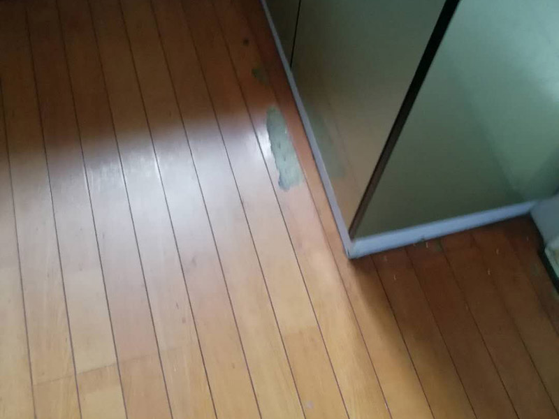 地板局部維修翻新：起下需替換的地板。用一字螺絲刀即將替換的地板短邊處鑿出一個1厘米長的縫隙,再用曲線鋸將需替換的地板表面鋸成十字形的鋸縫;然后將分紅四小片的地板取出。 整理膠水。用鋼鋸條整理原接口殘留的膠水,并確保整理好的榫槽便于裝置,假如整理不完全,接縫會不平或不嚴(yán)。能夠用有新榫頭小片地板在接口上來回滑動,找出殘留膠跡并鏟除,使修正后的地板漂亮。