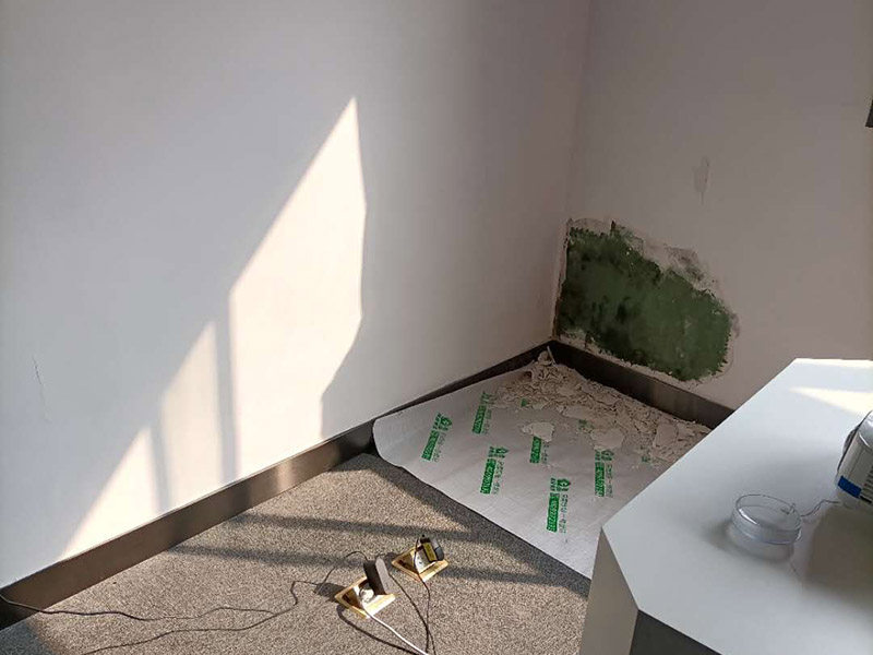 墻面局部修補施工:先將墻體破損凸出的地方鏟掉；取出從網(wǎng)上商城買的補墻膏補墻漆套裝；打開補墻膏，先攪拌均勻后，用小鏟抹少量補墻膏，填進坑洼起皮的部位，干燥24小時；隔天干后對墻體用砂紙打磨平整，用抹布把表面粉層擦拭掉；用補墻漆兌10%左右的水稀釋，攪拌均勻后用刷子涂在墻體上，進行2~3涂刷。
