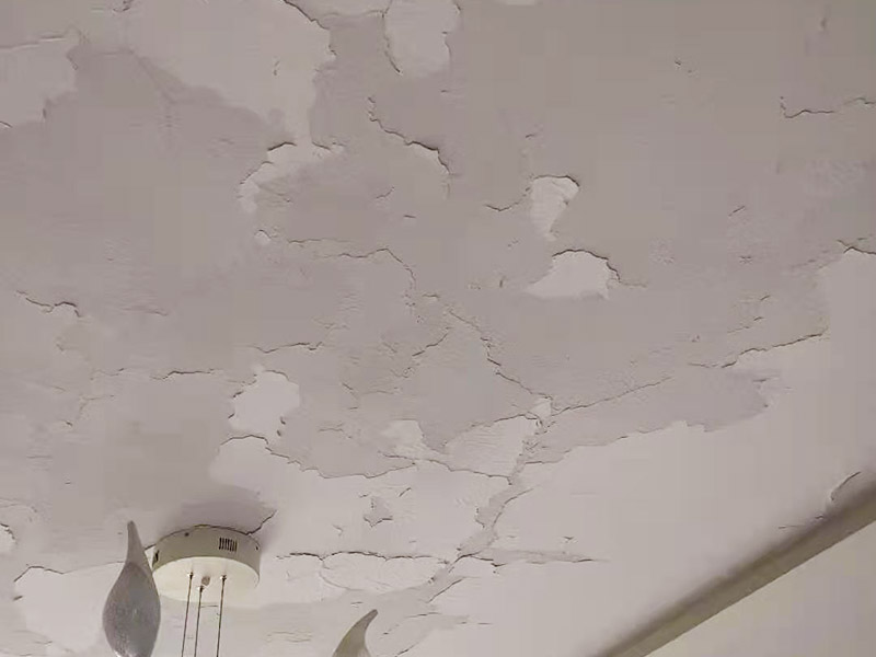 客廳天花板翻新：原有墻頂面有開發(fā)商粗略批蕩，局部肉眼就能看出凹凸不平的差距，有的施工隊為了趕工，施工方在做墻面找平時直接用膩子而沒用石膏粉，省了一道程序，結(jié)果造成膩子層太厚,而膩子只能起到讓平面變得平整光滑的作用，而不能用來找誤差較大墻面的平整，所以膩子找平比較厚的地方就會陸續(xù)的脫落。 乳膠漆施工溫度低，未能形成連續(xù)的涂膜而龜裂，遇水即會脫落;基層疏松，有油污等污物，涂膜與基層粘附不好，造成剝落;基層批刮膩子強度低，膩子層未干透即涂刷乳膠漆;基層過于平滑，以造成涂膜附著力不好。剝落：防范：施工前先觀察一