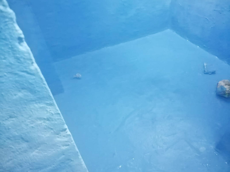 衛(wèi)生間防水維修: 鏟除原有的墻磚和地磚，這個(gè)步驟主要是針對(duì)老房二次裝修的，如果是新房可以跳過(guò)這個(gè)步驟，一般使用灰刀就可以，刮板也可以將原有的地磚鏟除掉。墻面將水電改造開槽用水泥封堵基層清理，細(xì)部附加層施工，在管根、地漏、陰陽(yáng)角、等容易漏水的薄弱部位均勻涂刷，涂刷防水涂料兩遍，縱向橫向各涂刷一遍，做保護(hù)層，待防水干燥后放水做48小時(shí)閉水試驗(yàn)。