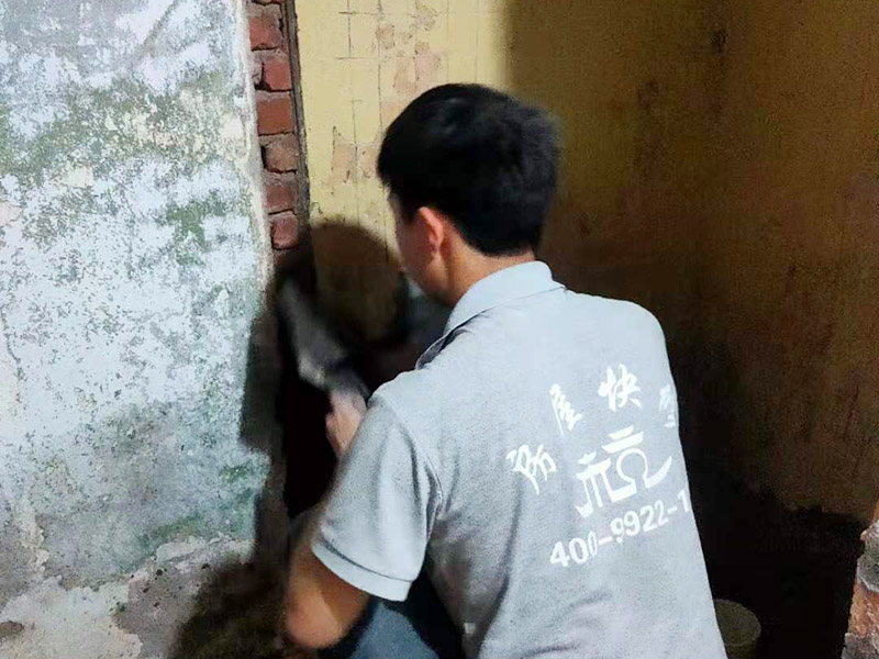 墻面抹水泥找平:步驟一：清理墻面；把墻面起皮和裂縫位置處理干凈，并用水泥砂漿補(bǔ)抹好，把殘留的灰渣鏟除干凈，然后把墻面清理干凈。需要注意的是：如果墻面吸水性比較強(qiáng)，要先用清水濕潤或是噴刷膠水做封底處理。  步驟二：第一遍刮膩?zhàn)樱凰嗄娴膲γ孀詈门渲频琢希粌H能降低工程造價(jià)，還可以提高施工的質(zhì)量。 步驟三：第二遍刮膩?zhàn)?；第一遍墻體干透后，可以上第二遍膩?zhàn)舆M(jìn)一步刮平。但是第二遍的膩?zhàn)诱{(diào)兌不易過稀，它的含水量別過大，要保證第二遍膩?zhàn)庸瓮亢蟮乃直M快被第一遍的膩?zhàn)游?，只有等到墻面水分減少到一定程度后方才可進(jìn)