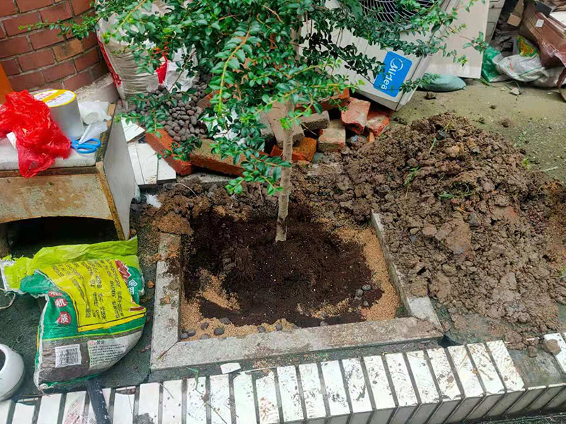 庭院植物底部防水：找到本來的防水層，由于防水層不是顯露的，是在面層下部，有必要將面層進(jìn)行悉數(shù)根除，找到本來的防水層。將原防水層根除以后，找平，將本來下部保溫層里存的水進(jìn)行排干，設(shè)一些排氣孔做排氣辦法，將保溫層里的水分排干。做完防水層以后，必定要做找坡處理，不要形成屋面部分存水，通常設(shè)置水泥砂漿找平找坡，找坡的斜度不小于3%。再進(jìn)行閉水實(shí)驗(yàn)，不漏水為合格，再進(jìn)行康復(fù)上面的維護(hù)及鋪貼面磚裝修。