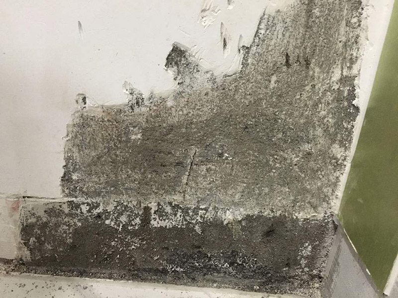 梅雨季節(jié)墻壁發(fā)霉怎么處理，為大家整理的小竅門來了