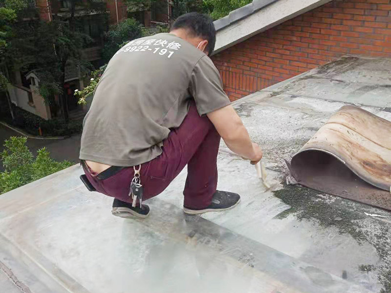 屋面防水卷材VS涂料：哪種更適合你的