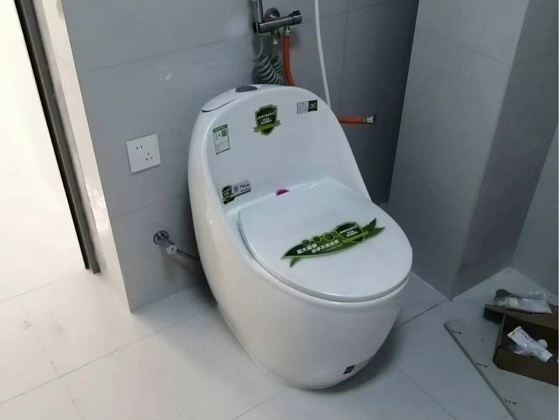 馬桶改蹲廁全攻略：5步完成改造+省錢